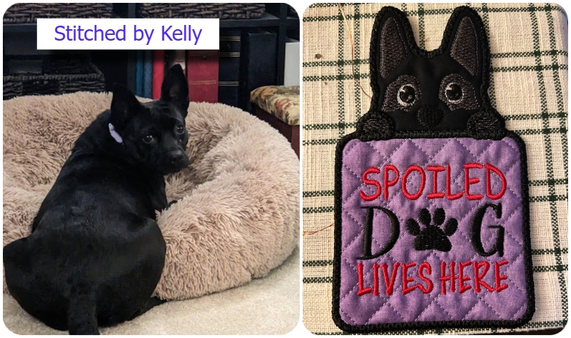 Peeking Dog Coaster by Kelly 2